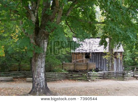 Cabaña en el bosque
