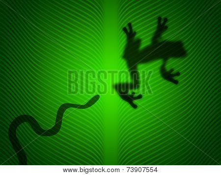 Snake Atack A Tree Frog On Green Leaf