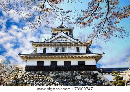 Sakura Season, Kyoto, Japan
