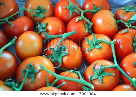 È un sacco di pomodori