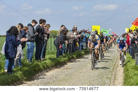 The Peloton- Paris Roubaix 2014