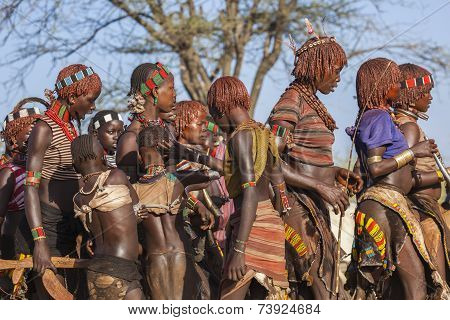 Group Of Hamar Women Dance At Bull Jumping Ceremony.
