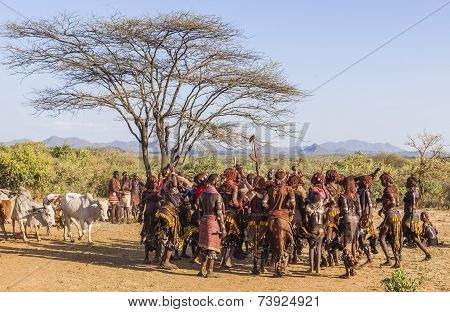 Group Of Hamar Women Dance At Bull Jumping Ceremony.