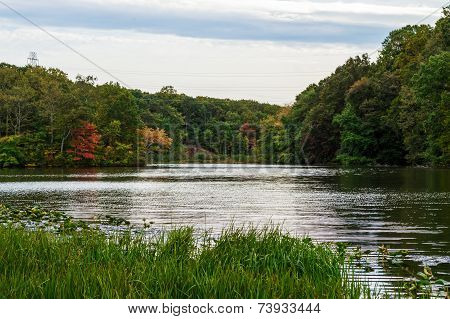 Perrineville Lake Scene
