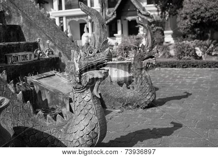 King of Nagas  (Black & White)