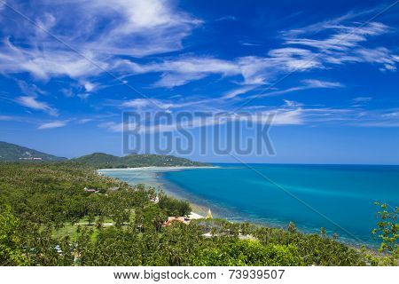 Beach With Coconut
