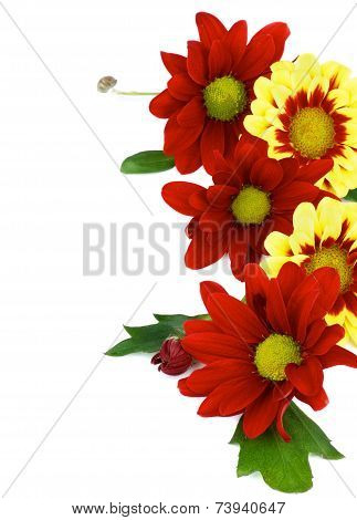 Daisy Frame