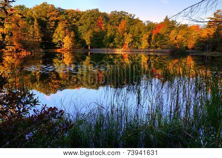 Autumn Lake
