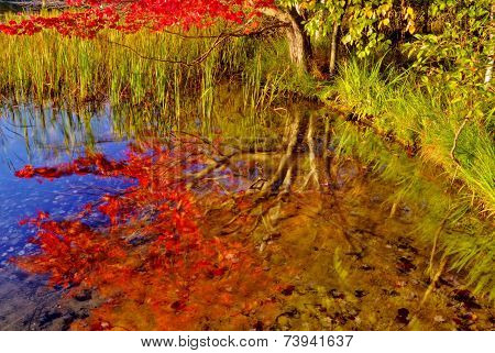 Autumn Reflections