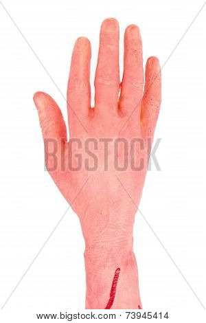 the hand