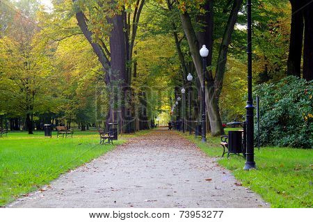 In the park.