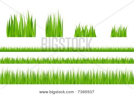 Collezione di erba verde. Vector