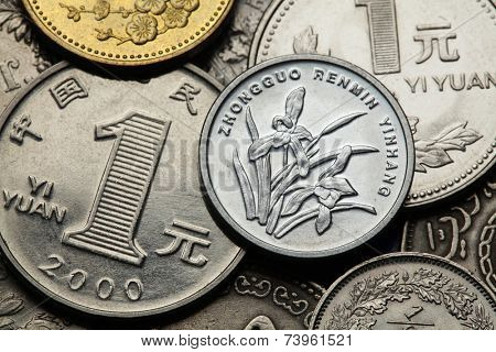 Coins of China. Iris or orchid flowers depicted in the Chinese one Jiao coin and the Chinese one Yuan coins. 