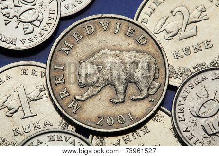Coins of Croatia. Brown bear (Ursus arctos) depicted in the Croatian five kuna coin.