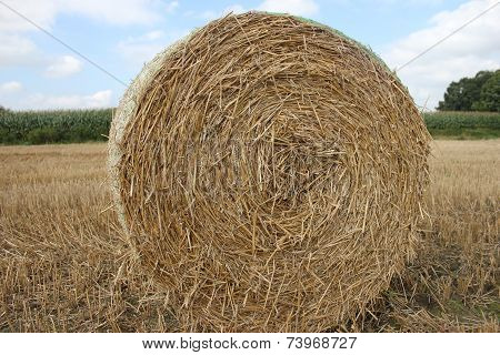 Hay Ball / Straw Ball
