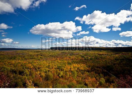 Cape Croker Cliff Autumn Fall Forest Trees landscape