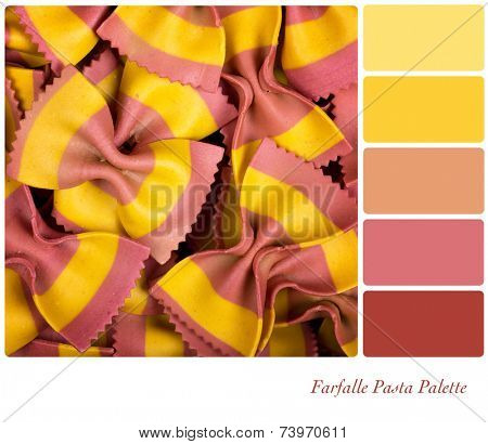 Speciality farfelle pasta with yellow and pink stripes, in a colour palette with complimentary colour swatches.