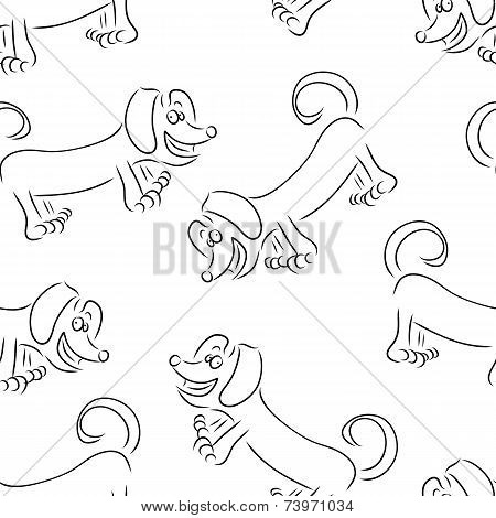 dog Dachshund