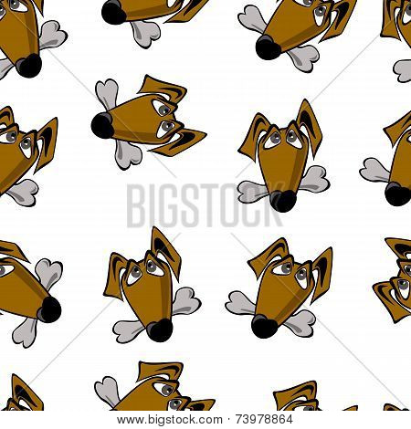 dog Dachshund
