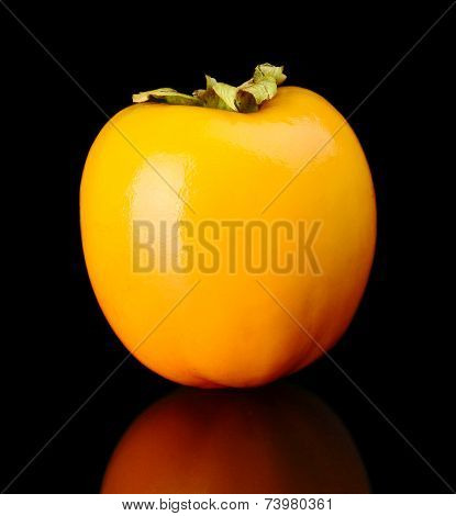 Studio Shot Sharon Kaki-persimmon Isolated Black