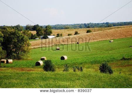 Ackerland