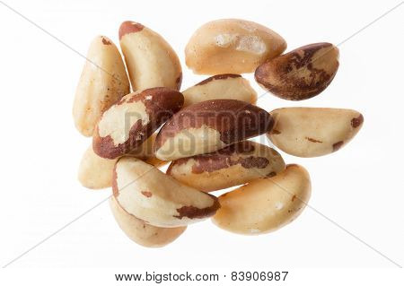 Brazil Nuts Isolated On White Background