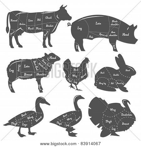 Vintage diagram meal cutting
