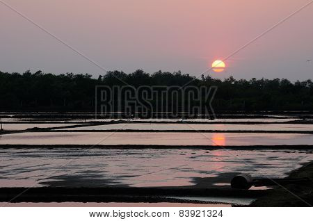 Setting Sun over Rice Paddies