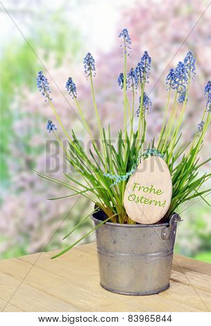 Flower Pot With Bluebells