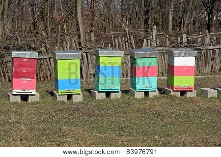 Bee hive