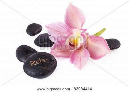 spa relax concept