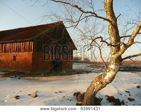 Byre and Birch
