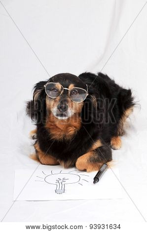 Drawing Dog
