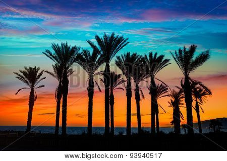 Almeria Cabo de Gata sunset pam trees in Retamar beach at Spain