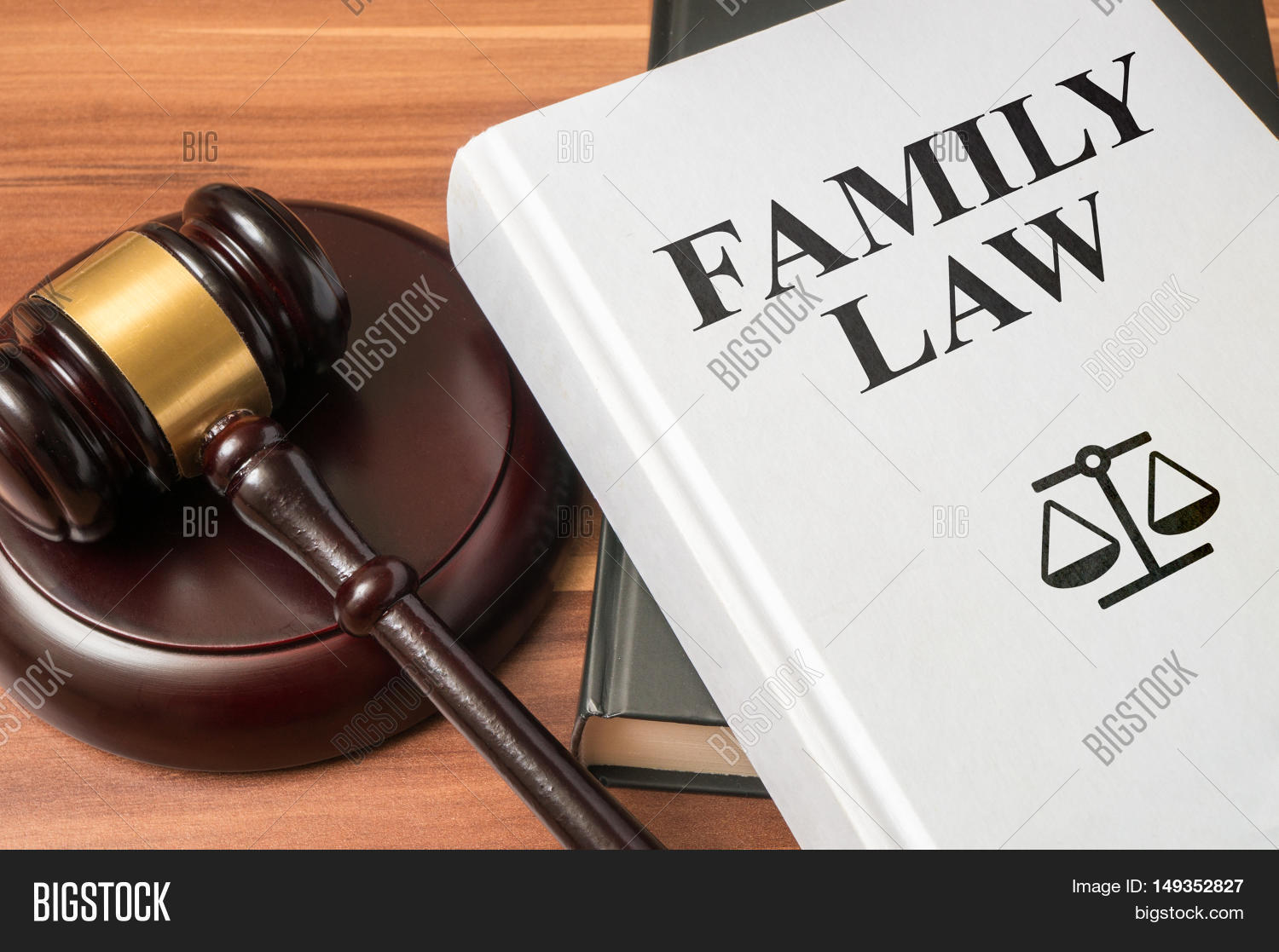 Family Law Book Gavel Image & Photo (Free Trial) Bigstock