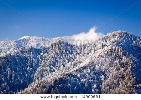 Mount Leconte i sne i Great Smoky Mountains