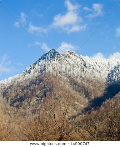 Skorstenen toppe i sne i Great Smoky Mountains