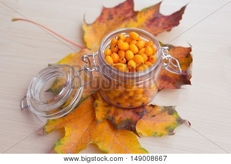 sea-buckthorn berries and autumn leaves alternative medicine treatment in the fall