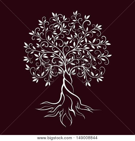 Olive tree outline curl silhouette icon isolated on burgundy background. Web graphics stroke modern vector sign.