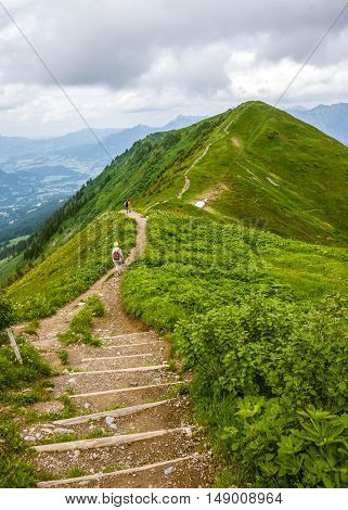 Alps mountain top in the summer in green vegetation and flowers