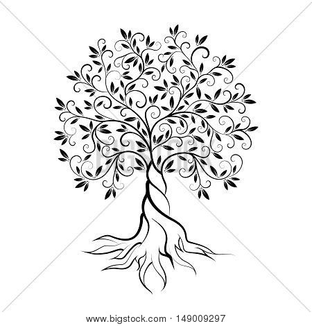 Olive tree outline curl silhouette icon isolated on white background. Web graphics stroke modern vector sign.