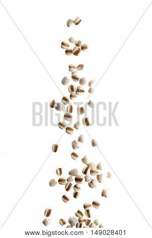 Falling Coixseed With White Background
