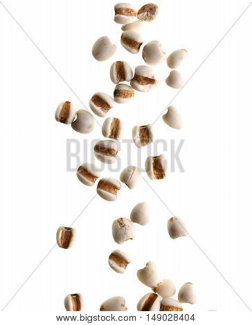 Falling Coixseed With White Background