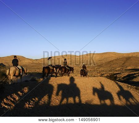 Shadows of riders sitting on horses in the late afternoon sun