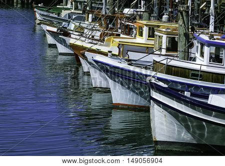 Multi coloured fishing boats moored at pier in San Francisco harbour