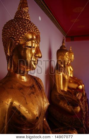 budhas dourados, bangkok