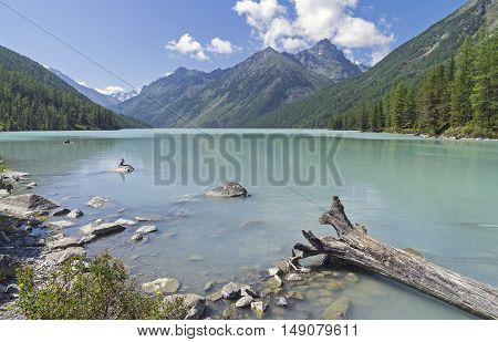Kucherla lake. Altai Mountains Russia. Sunny summer day.