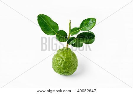 Fresh Bergamot Fruit And Bergamot Leaves On White Background.