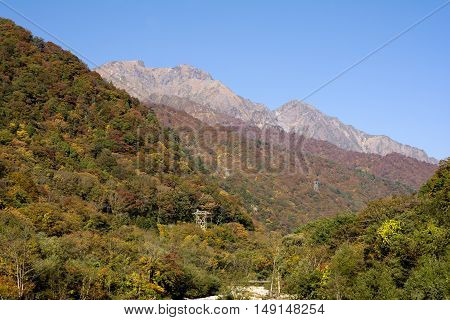Autumn forest and mount Tanigawa under blue sky