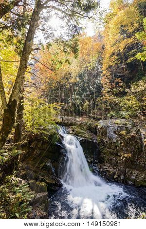 Autumn Yamabiko waterfall surrounded by rocks in Minakami, Gunmma